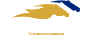 Kalyan Park Thoroughbreds