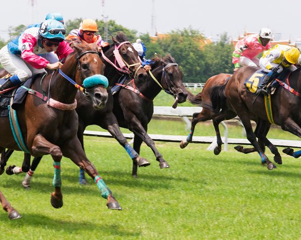 winning-01 Winning at Kalyan Park Thoroughbreds