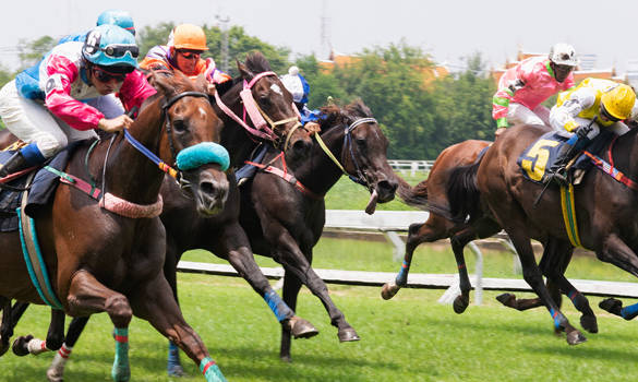 Winning at Kalyan Park Thoroughbreds