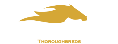 Kalyan Park Thoroughbreds
